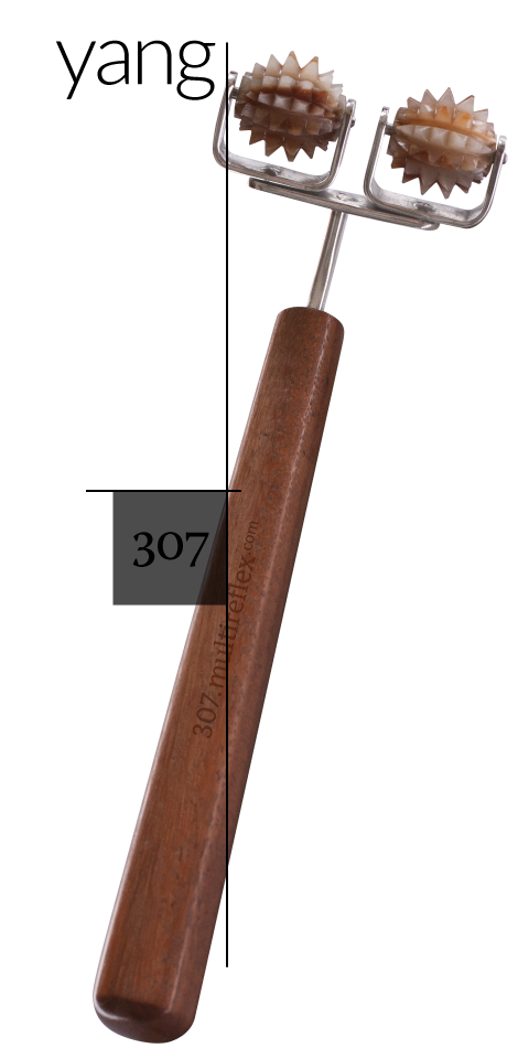 Dien Chan multireflex tools